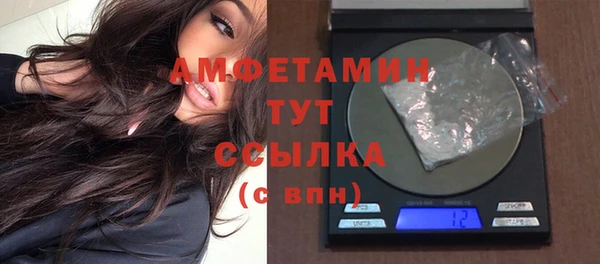 мет Алексин