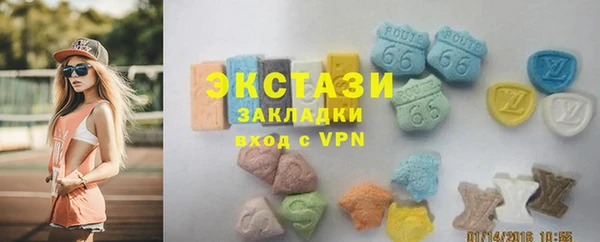 стаф Алзамай