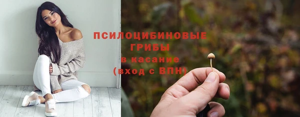 стаф Алзамай