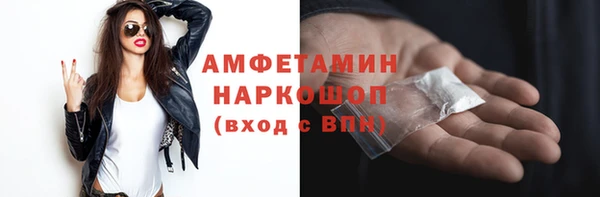 стаф Алзамай