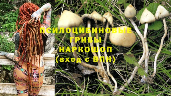 мет Алексин