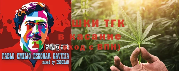 стаф Алзамай