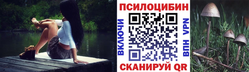 купить   Ветлуга  Псилоцибиновые грибы мицелий 